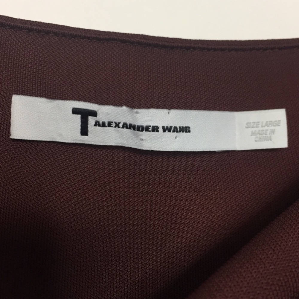 T Alexander Wang Mesh Insert Dress 8/10 L - Picture 6 of 11